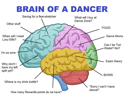 Why Our Brain Loves To Dance