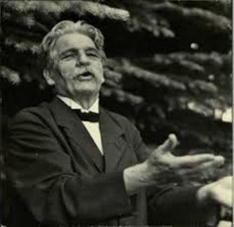 Wij zijn albert schweitzer, topklinisch opleidingsziekenhuis in dordrecht, zwijndrecht, sliedrecht en ridderkerk. 10 Facts about Albert Schweitzer | Fact File