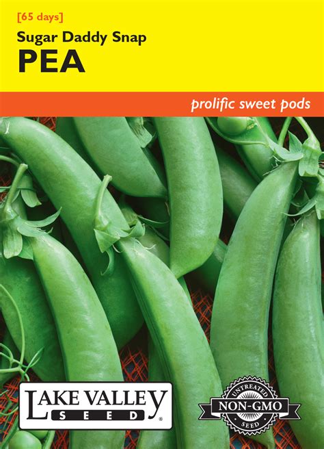 Pea Sugar Daddy Snap Bush Item 226 Lake Valley Seed