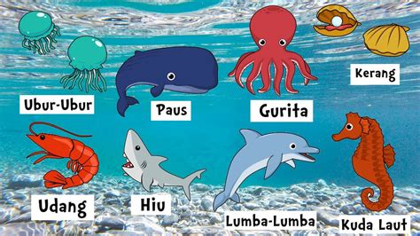 Nama Nama Hewan Laut 💖 Belajar Mengenal Nama Hewan 💖 - YouTube