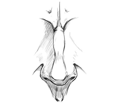 Next, we'll take a look at drawing a nose from a side view. LEARN HOW TO DRAW A NOSE IN 6 EASY STEPS ...