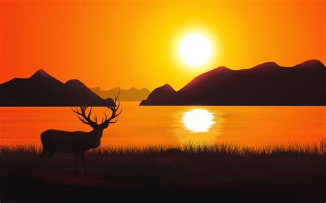 Sunset Deer Silhouette 4k Wallpapers Hd Wallpapers Id