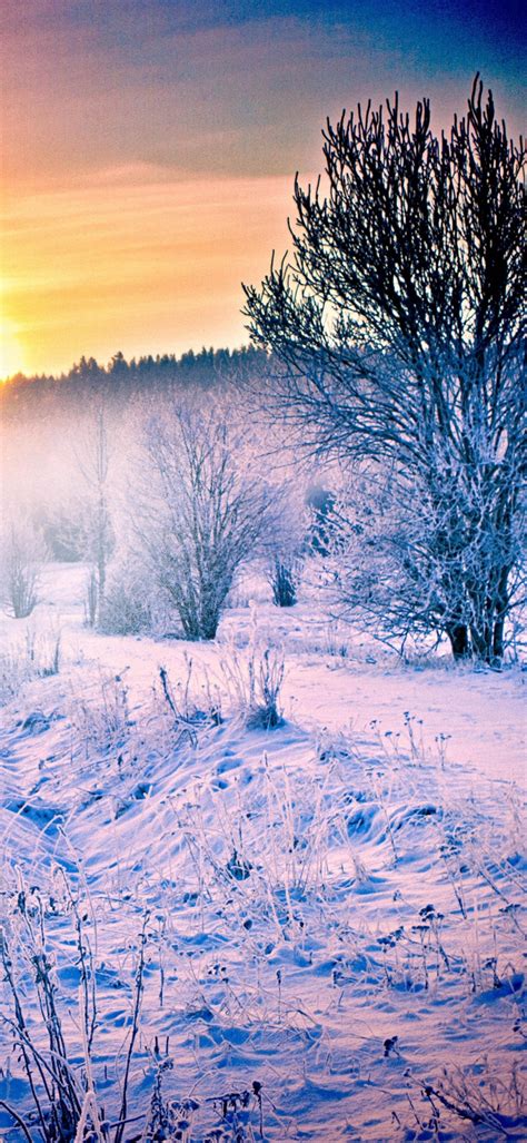 Winter Wallpaper Cute Kolpaper Awesome Free Hd Wallpapers