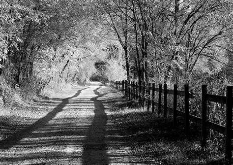 Country Road Black And White Photograph By Anne Barkley