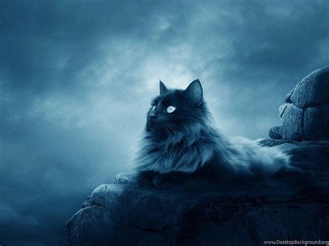 Warrior Cats Backgrounds And Wallpapers Wallpaper Cave