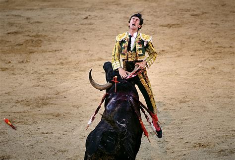Me So Horny Spanish Matador Gets Gored By Angry Bull Onelargeprawn