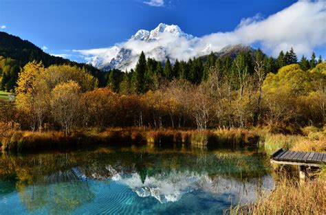 Visit And Explore The Zelenci Nature Reserve In Kranjska ...