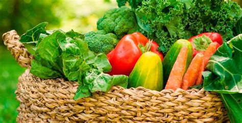 Mientras que si se tiene una dieta alcalina, donde se controle el nivel de ph proveniente de los alimentos que se consumen, entonces. Dieta alcalina para adelgazar y para mejorar la salud