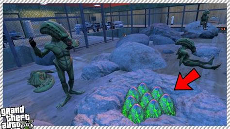 🔹secret Area 51 Location Discovered And Exploration Gta 5 Gameplay