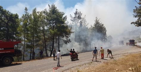 Joybet yenilenen adresi haz 25, 2021. Son dakika! Antalya Manavgat'ta orman yangını