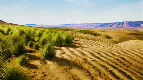 Beautiful Yellow Orange Sand Dune In Desert In Middle Asia 6296004