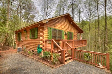 They are part of your family! Pet-Friendly Cabin Rentals - Cabin Rentals in Blue Ridge ...