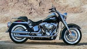 Harley Davidson Motorcycle Size And Model Chart Best Guide
