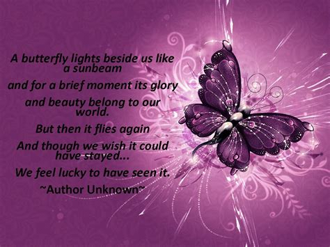 Wallpaper Downloads Download Butterflies Butterfly Quotes Infant Loss