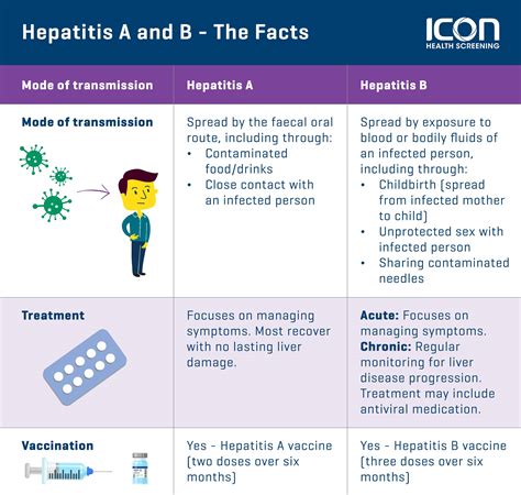 What Is Hepatitis B — Icon Health Screening