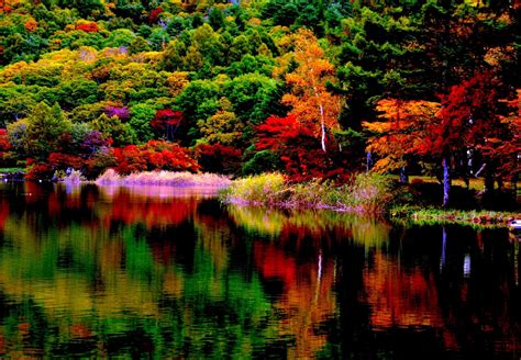 Maybe you would like to learn more about one of these? Autumn Forest Reflection 4k Ultra HD Wallpaper ...