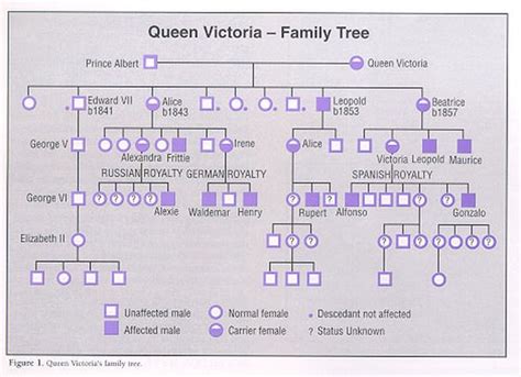Queen victoria married husband albert in 1840 and they are said to have been incredibly happy together. Queen Victoria and hemophilia family tree | Victoriano