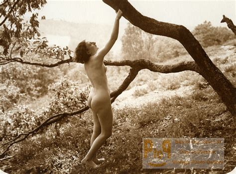 France Risque Nude Study Woman Outdoor Tree Countryside Marcel Meys Photo