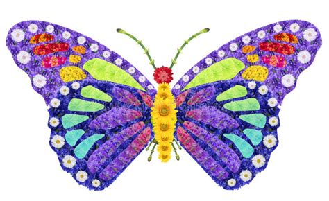 Rainbow Butterfly Is Considered An Endangered Species Isolated Floral
