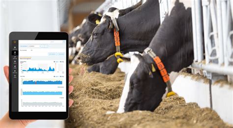 Nedap Cowcontrol Health Monitoring Nedap Livestock Management