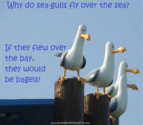 Seagull Jokes