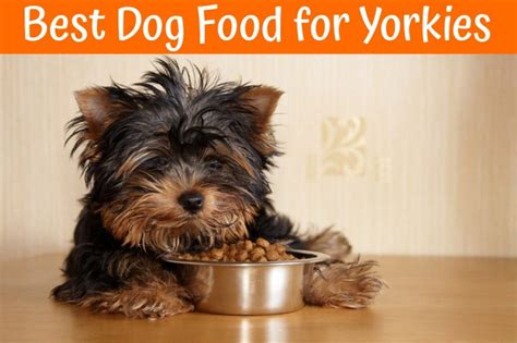 Yorkshire dogs' natural foods include: Best Dog Food for Yorkies - Guide in 2018 - US Bones