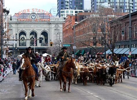 rtd pauses downtown denver rail line service for national western stock show parade