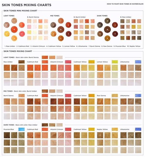 The Color Chart For Skin Tones Mixing Chart With Different Shades And