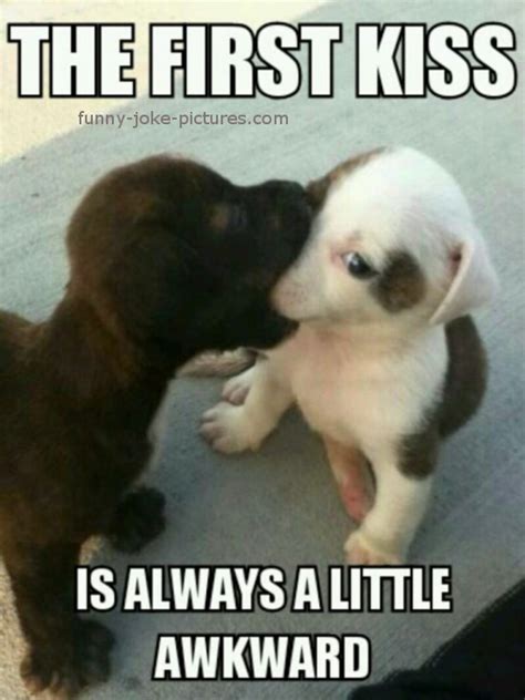 Dog Kisses Quotes Quotesgram