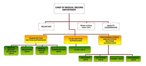 Kau Hospital Mrd Organizational Structure