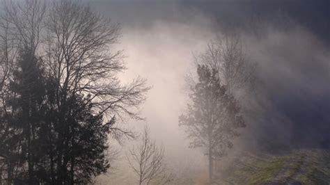 Fog Landscape Ground Free Video On Pixabay