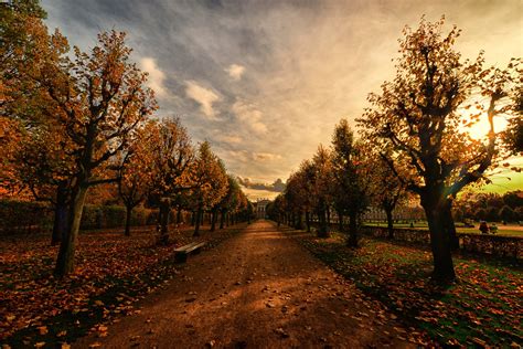 Autumn Trees Path Hd Nature 4k Wallpapers Images Backgrounds