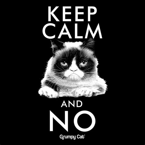 Bravado Keep Calm Grumpy Cat Girlie Shirt