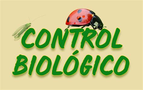 Control Biológico En Manzano Revista Infoagro México
