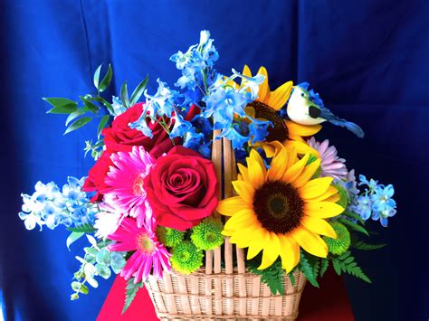 Maybe you would like to learn more about one of these? Bird's Garden Basket in Venice, FL | Venetian Flowers