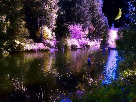 Moonlight Reflections Colorful Quarter Trees Lake Reflect Moon