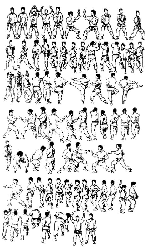 拳法) is the name of several japanese martial arts.the word kenpō is a japanese translation of the chinese word quánfǎ.this term is often informally transliterated as kempo, as a result of applying traditional hepburn romanization, but failing to use a macron to indicate the long vowel. karate world: Kata Names and Movements with Pictures and Video