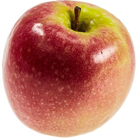 Notable people with the surname include: Produkte-Apfel