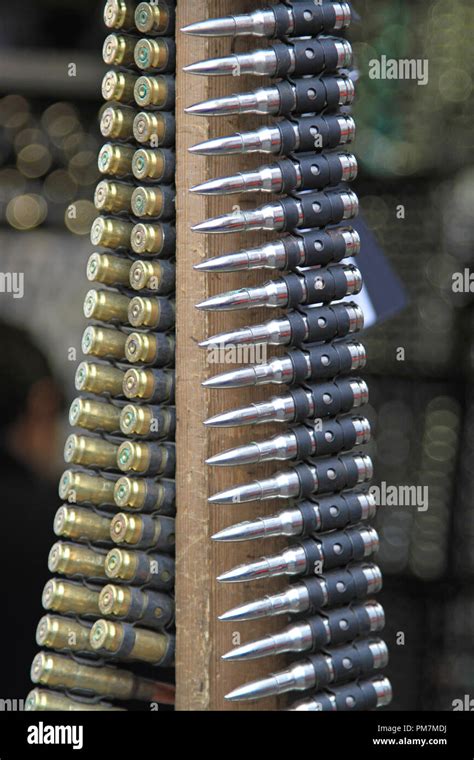 Ammunition Belts With Riffle Bullets Cartridges Bandolier Stock Photo Alamy