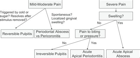 Differential Diagnosis Of Common Causes Of Dental Pain Additional