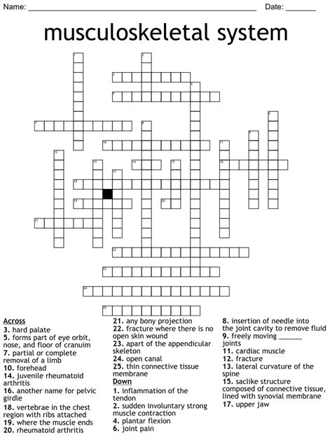 Musculoskeletal System Crossword Wordmint