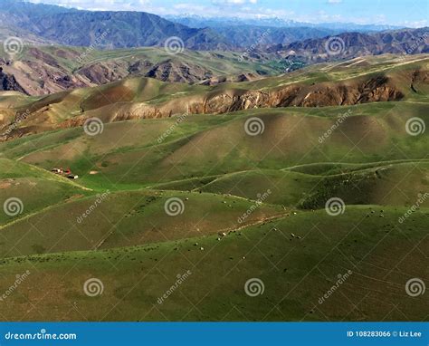 Blue Sky White Cloud Green Grassland And Hill Stock Photo Image Of