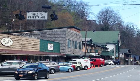 Asheville with Kids! Family Friendly Asheville Activities and Dining