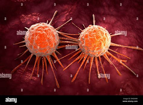Conceptual Image Of Cancer Virus Stock Photo Alamy