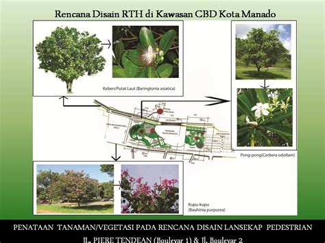 Ruang terbuka hijau wilayah perkotaan makalah disampaikan pada lokakarya pengembangan sistem rth di perkotaan. LINGKUNGAN PERKOTAAN: Konsep Disain Ruang Terbuka Hijau di ...