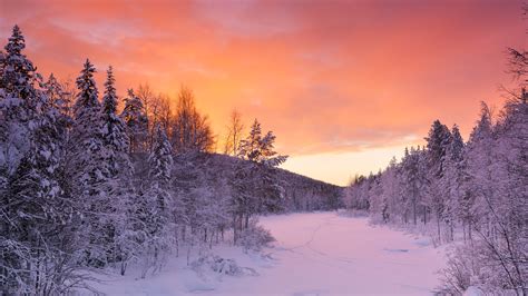 Winter In Finland Talvi Suomessa Lapland Winter
