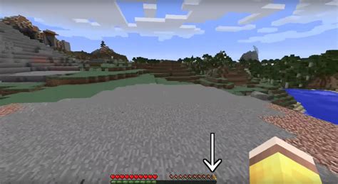For you to play in vanilla servers! AppleSkin Mod 1.16.4/1.15.2 (Food-Related HUD ...