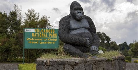 How To Get To Volcanoes National Park In Rwanda Rwanda Tours