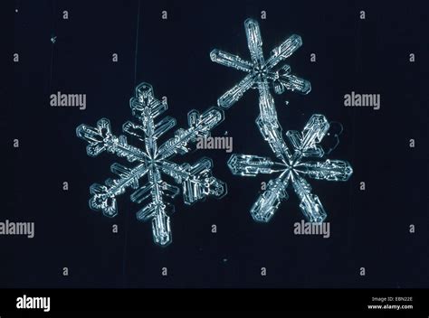 Ice Crystal Microscope Hi Res Stock Photography And Images Alamy