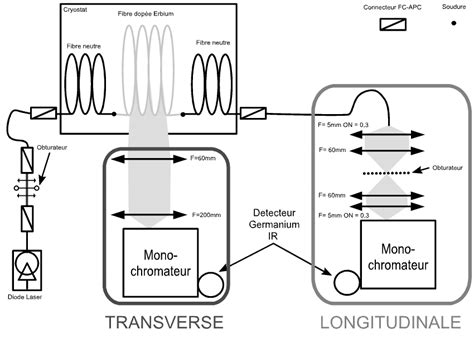 Sch Ma Du Montage Exp Rimental De Rfln Sur Fibre Optique Download Scientific Diagram